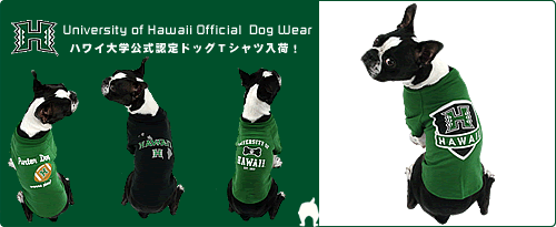 ハワイ大学公式認定ドッグＴシャツ（犬のＴシャツ）販売開始！