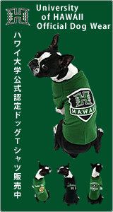 ハワイ大学公式認定ドッグＴシャツ（犬のＴシャツ）発売中！