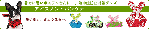 犬用ハワイアンレイ新登場！
