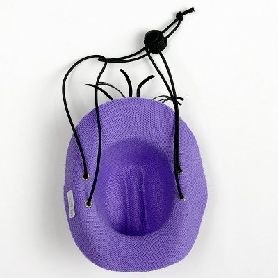画像3: 【帽子】カウボーイ＆カウガール・ハット(紫色)