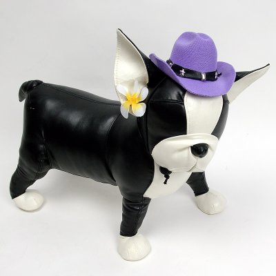 画像1: 【帽子】カウボーイ＆カウガール・ハット(紫色)