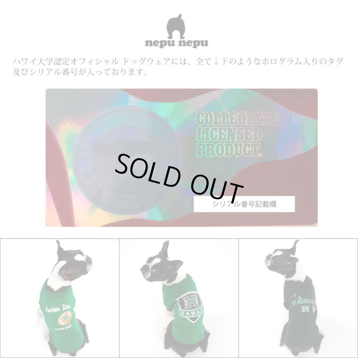 画像2: 【Tシャツ】ハワイ大学公式認定 Inuko ウォーリアーズ (2)