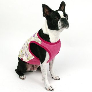 ■ぶんページ■ フレンチブルドッグ ボストンテリア 犬服 000000001583.jpg