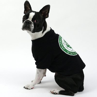 ドッグウェア 犬服 ボストンテリアやフレンチブルドッグのオシャレなドッグウェア 犬服 専門店 Page 1