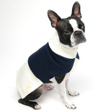 犬服Mascot(マスコット) カラーブロック・セーター(ネイビー＆クリーム)ボステリ犬服専門店NepuNepu(ネプネプ)