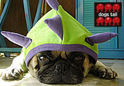 Dogs Tail: Mr. Mametarou